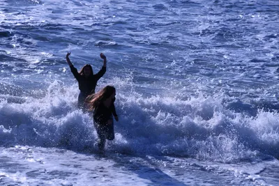 DSC_0481 (Large).JPG